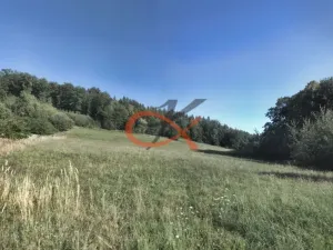 Prodej pole, Krhová, 6015 m2