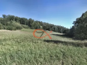 Prodej pole, Krhová, 6015 m2