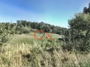 Prodej pole, Krhová, 6015 m2