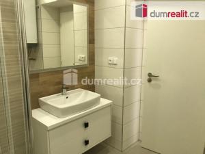 Pronájem bytu 1+kk, Opava - Město, Dolní náměstí, 33 m2