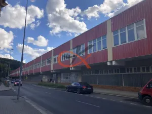 Pronájem komerční nemovitosti, Kraslice, Dukelská, 1500 m2