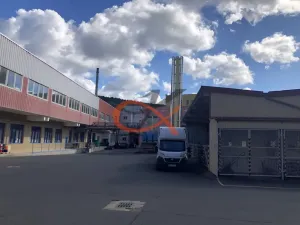 Pronájem komerční nemovitosti, Kraslice, Dukelská, 1500 m2