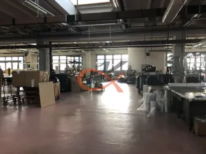 Pronájem komerční nemovitosti, Kraslice, Dukelská, 1500 m2