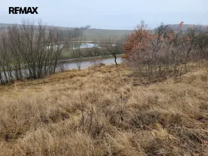 Prodej trvalého travního porostu, Třebsko, 6483 m2