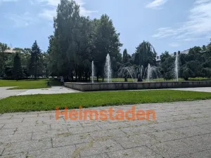 Pronájem obchodního prostoru, Karviná - Nové Město, Čapkova, 76 m2