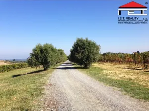 Prodej zahrady, Vranovice, 350 m2