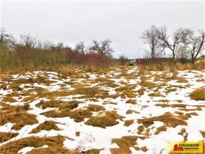 Prodej zahrady, Znojmo, 609 m2