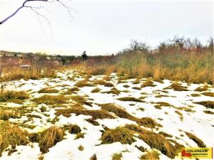 Prodej zahrady, Znojmo, 609 m2