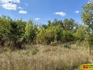 Prodej pozemku pro komerční výstavbu, Znojmo, 21190 m2