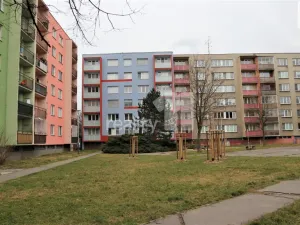 Prodej bytu 2+1, Ostrava - Přívoz, Arbesova, 63 m2