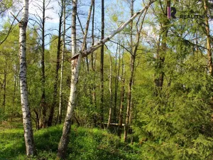 Prodej pozemku, Karlovy Vary - Hůrky, K Letišti, 3000 m2