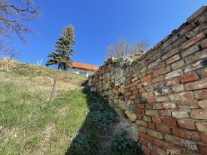 Prodej vinného sklepa, Valtice, 60 m2