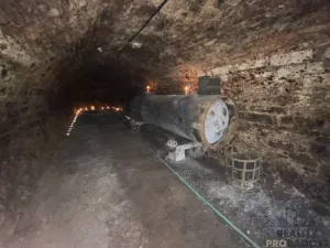 Prodej vinného sklepa, Valtice, 60 m2