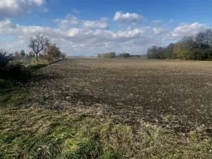 Prodej komerčního pozemku, Lanžhot, 1970 m2