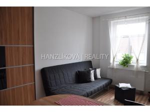 Pronájem bytu 1+kk, České Budějovice - České Budějovice 3, Lipenská, 21 m2