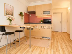 Pronájem bytu 1+kk, České Budějovice - České Budějovice 3, Lipenská, 21 m2