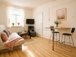 Pronájem bytu 1+kk, České Budějovice - České Budějovice 3, Lipenská, 21 m2