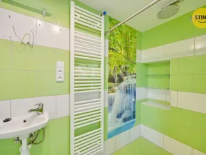 Prodej rodinného domu, Skuteč, Boženy Němcové, 150 m2