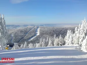 Prodej bytu 3+1, Nová Pec - Nové Chalupy, 76 m2