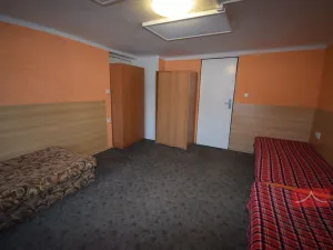 Prodej komerční nemovitosti, Ledeč nad Sázavou, Mlýnská, 310 m2