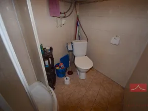 Prodej komerční nemovitosti, Ledeč nad Sázavou, Mlýnská, 310 m2