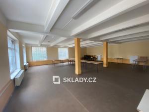 Pronájem skladu, Ústí nad Labem - Střekov, 3000 m2