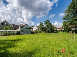 Prodej rodinného domu, Strmilov, Kunžatecká, 100 m2