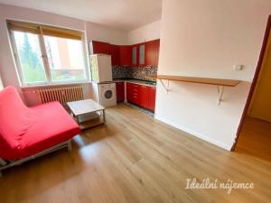 Pronájem bytu 1+kk, Ostrava - Poruba, Zdeňka Štěpánka, 24 m2