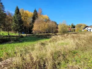 Prodej pozemku pro bydlení, Heřmánkovice, 4496 m2