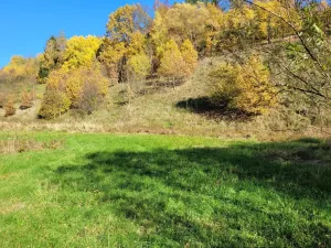 Prodej pozemku pro bydlení, Heřmánkovice, 4996 m2