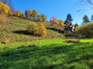 Prodej pozemku pro bydlení, Heřmánkovice, 4996 m2