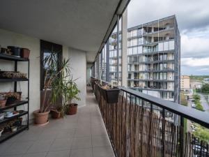 Prodej bytu 3+kk, Praha - Žižkov, Pitterova, 98 m2