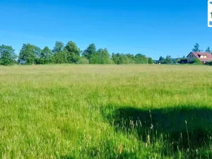 Prodej pozemku pro komerční výstavbu, Mariánské Lázně, Plzeňská, 27272 m2
