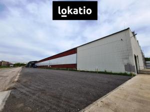 Pronájem výrobních prostor, Ostrava, Lihovarská, 7200 m2