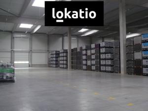 Pronájem skladu, Česká Třebová, 3723 m2