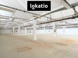 Pronájem skladu, Louny, Postoloprtská, 1650 m2