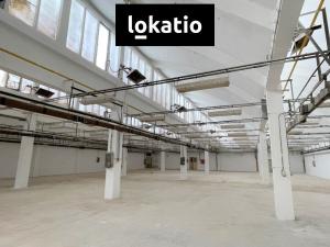 Pronájem skladu, Louny, Postoloprtská, 4700 m2