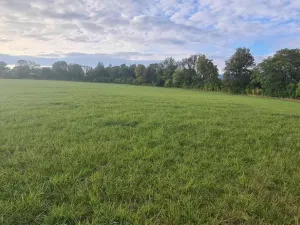 Prodej komerčního pozemku, Karlovy Vary, 3105 m2