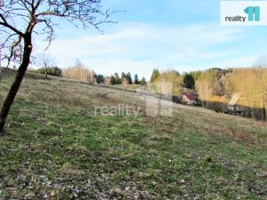 Prodej trvalého travního porostu, Krásná Lípa - Vlčí Hora, 4262 m2