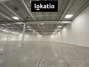 Pronájem skladu, Ostrava - Vítkovice, 5195 m2