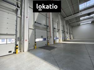 Pronájem skladu, Ostrava - Vítkovice, 5195 m2
