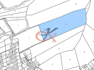 Prodej lesa, Dolní Bečva, 29219 m2