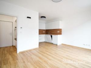 Pronájem bytu 2+kk, Brno - Husovice, Rotalova, 49 m2