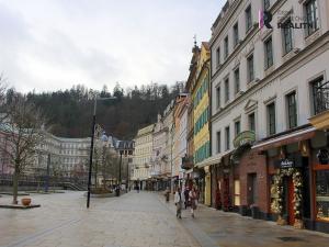 Prodej ubytování, Karlovy Vary, Stará Louka, 1180 m2