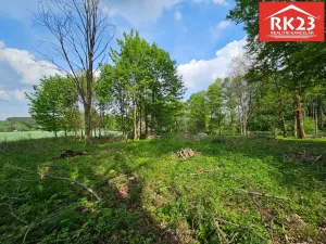 Prodej pozemku pro bydlení, Tři Sekery - Chodovská Huť, 2874 m2