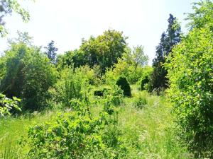 Prodej pozemku pro bydlení, Králův Dvůr, 1439 m2