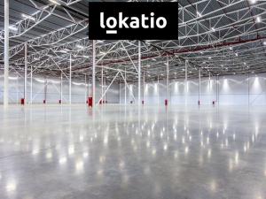 Pronájem skladu, Ústí nad Labem - Všebořice, 24000 m2