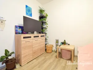 Pronájem bytu 1+kk, Brno, Svitavská, 29 m2