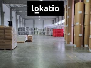Pronájem skladu, Pelhřimov, 879 m2