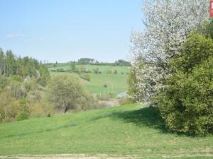 Prodej pozemku pro bydlení, Domašov nad Bystřicí, 11569 m2